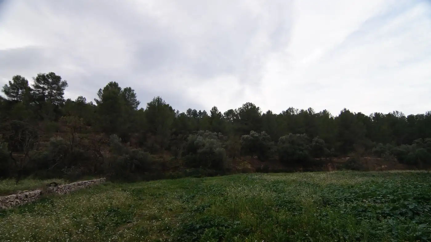 Terreno en venta en Móra la Nova