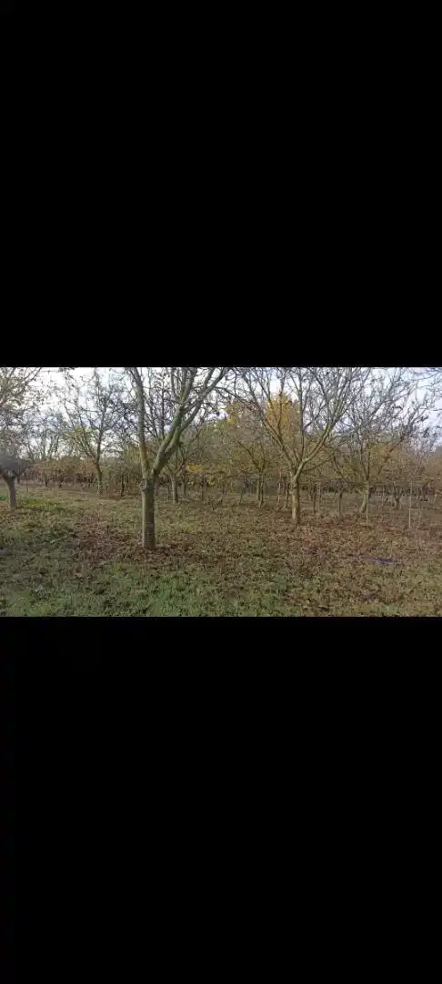 Terreno en venta en Pitillas