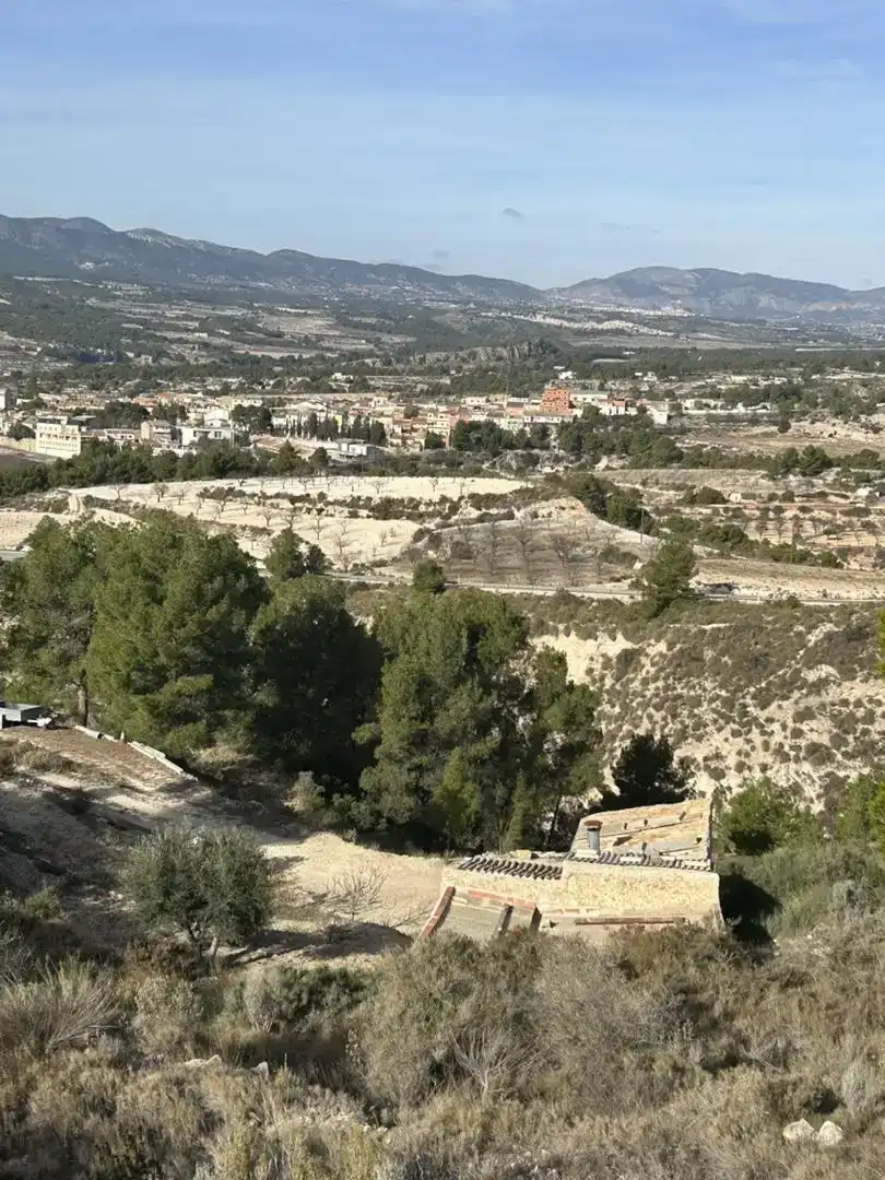 Vista exterior de Finca rústica en venda en Tibi