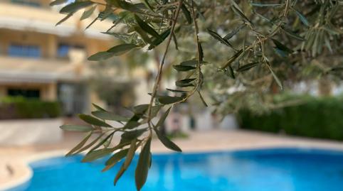 Foto 5 de Apartamento de alquiler en Carrer Romeo I Julieta, Colònia Sant Jordi, Illes Balears