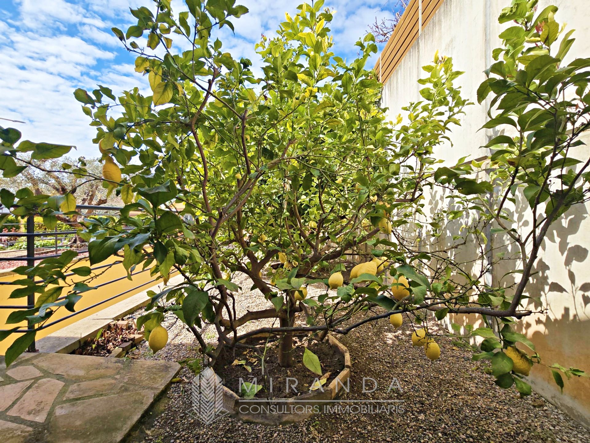 Jardí de Casa o xalet en venda en La Garriga amb Aire condicionat, Calefacció i Jardí privat