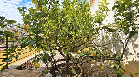 Photo 2 of House or chalet for sale in Carrer Joan Martí, Can Violí  - Can Poi del Bosc, Barcelona