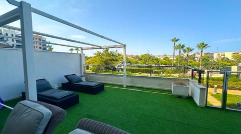 Photo 3 of Planta baja to rent in Mil Palmeras, Pilar de la Horadada