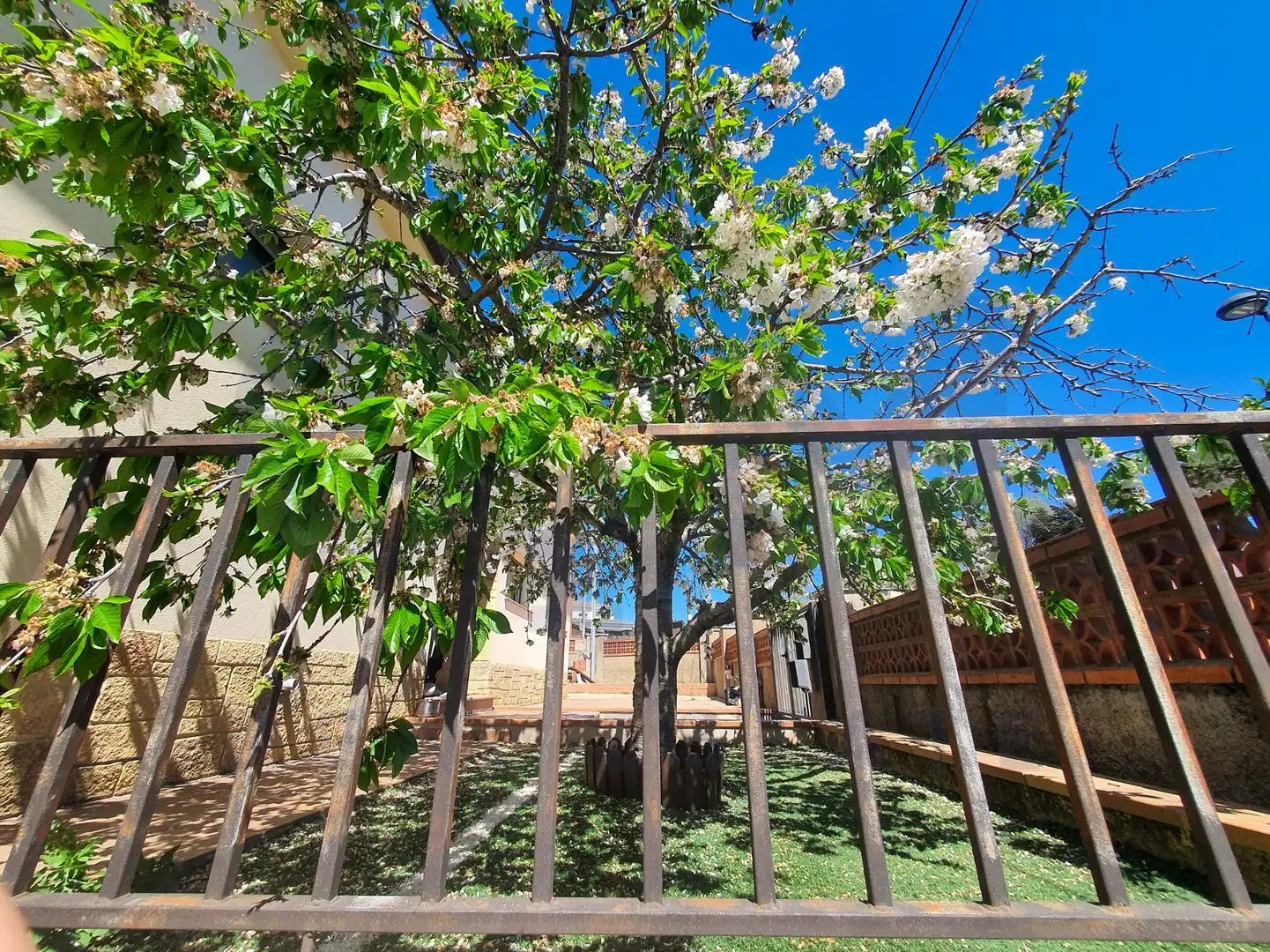 Villa con terrazza in vendita a Carrer Pins, imagen 45
