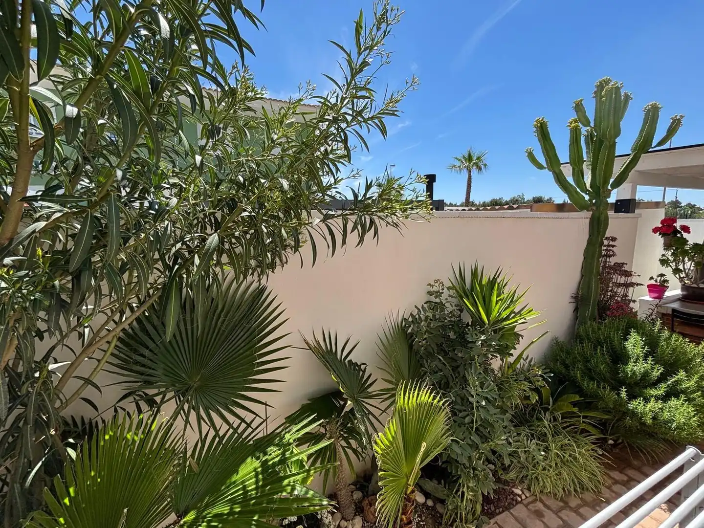 Jardí de Casa adosada en venda en Molina de Segura amb Aire condicionat, Jardí privat i Terrassa