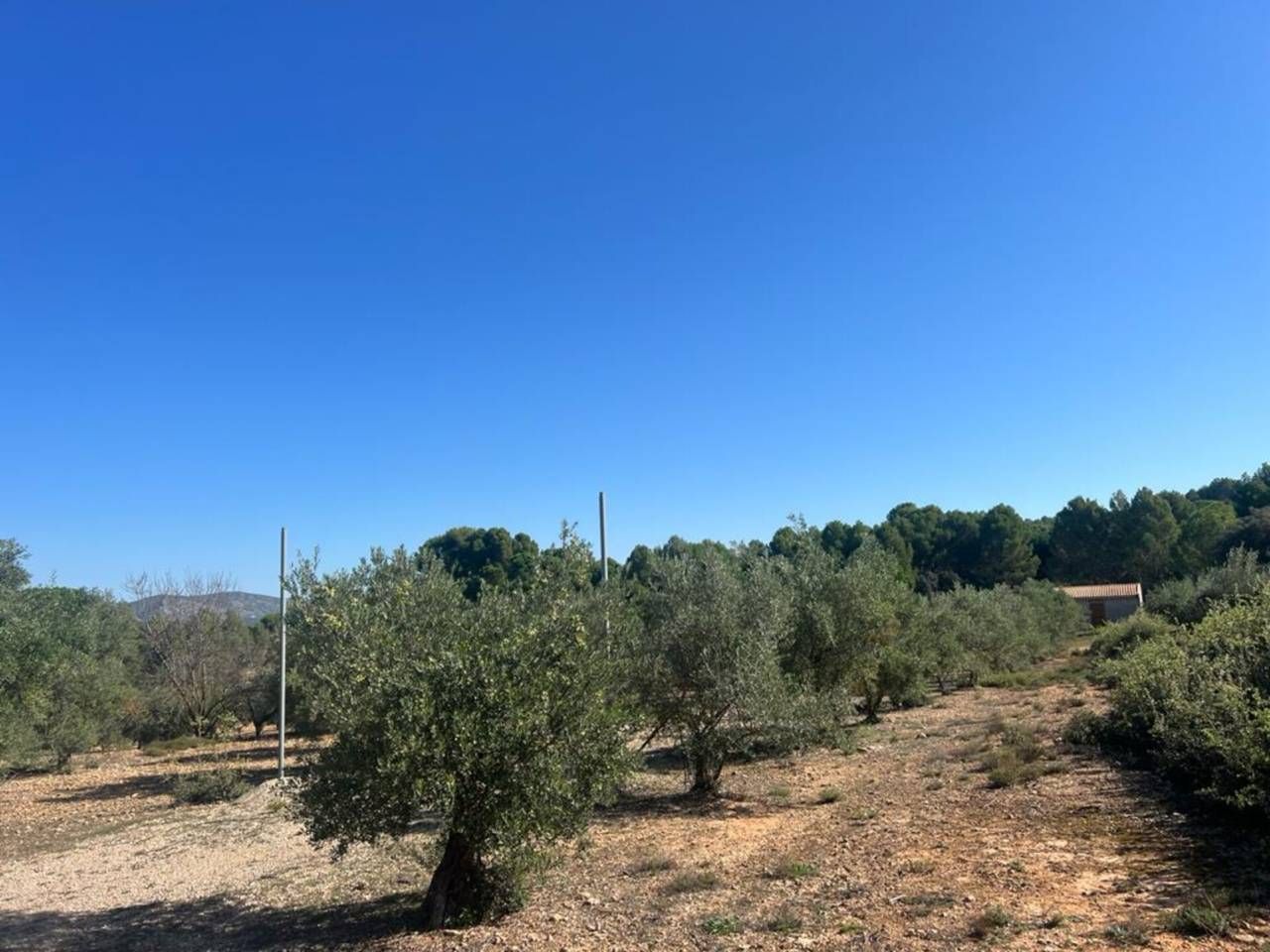 Casa o xalet en venda en Banyeres de Mariola