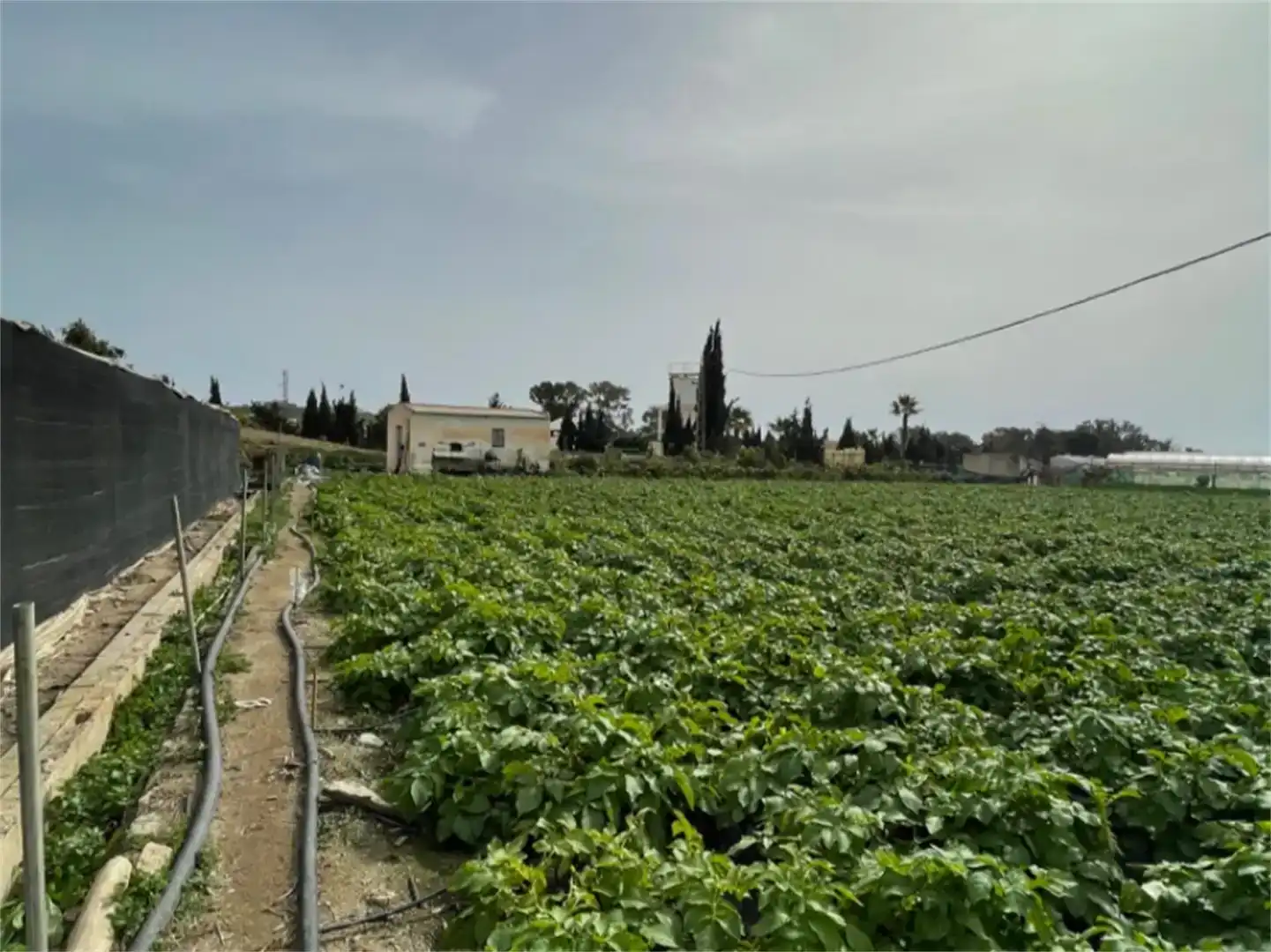Finca rústica en venda en Algarrobo