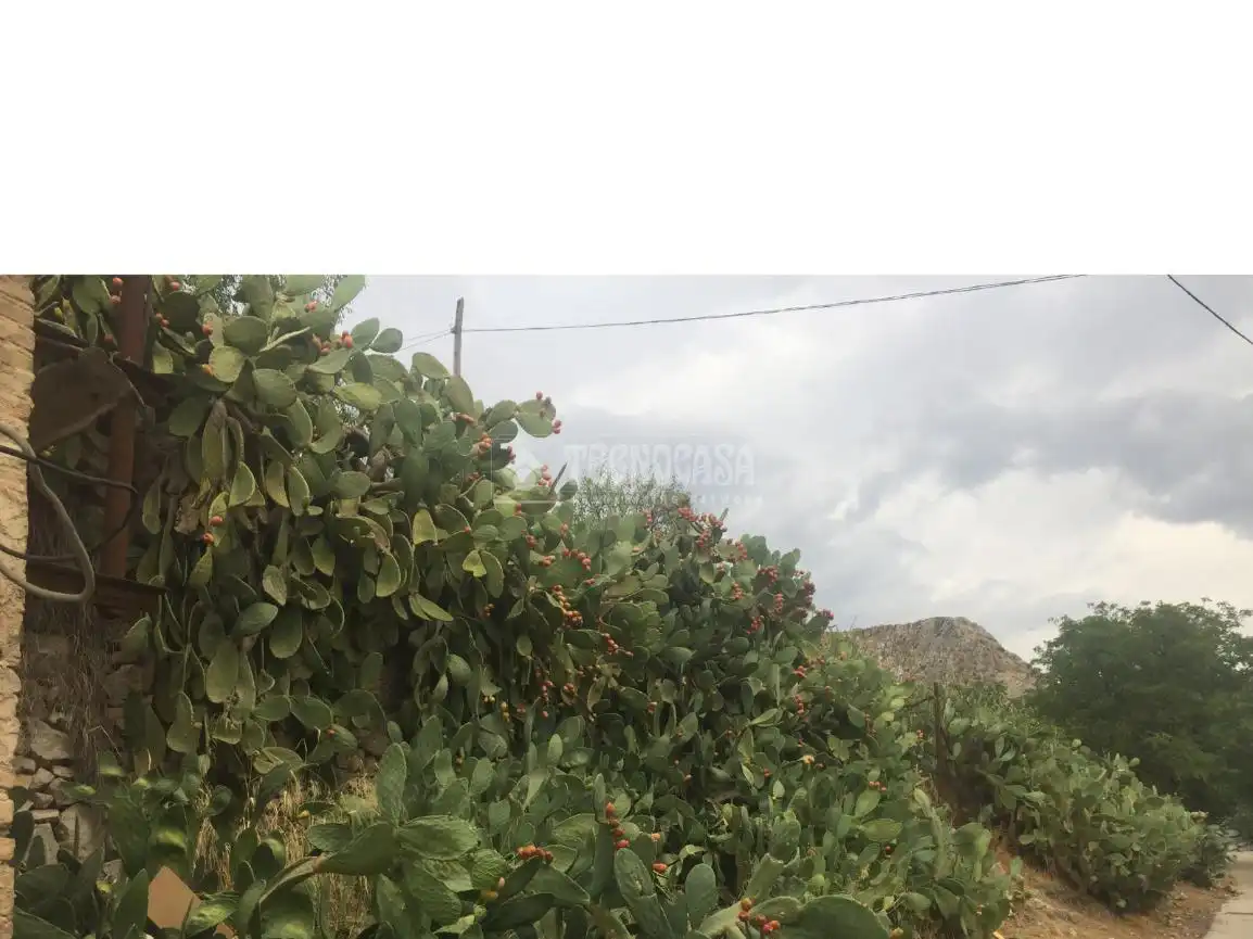 Terreny residencial en venda a Pinos Puente, imagen 9