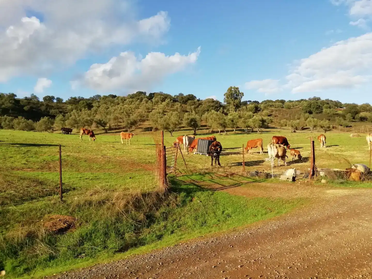 Vista exterior de Terreno en venta en Cumbres Mayores, Huelva