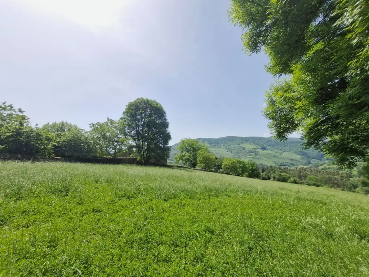 Casa o chalet en venta en Cieza (Cantabria) con Jardín privado