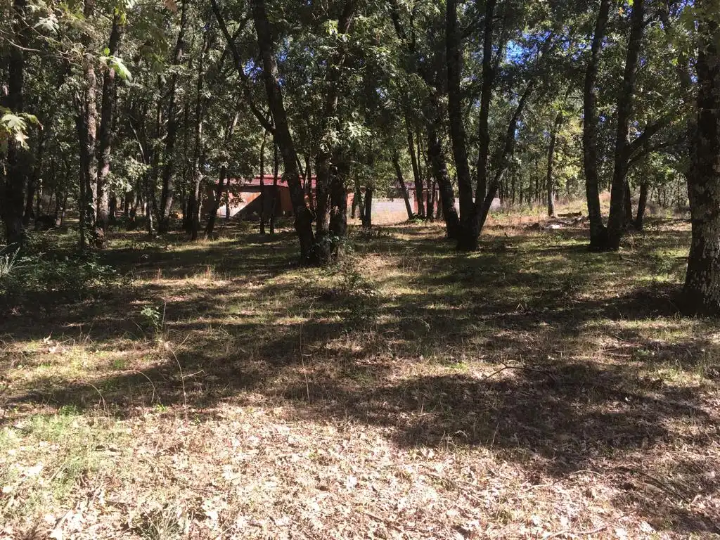 Traster en venda en Jarandilla de la Vera