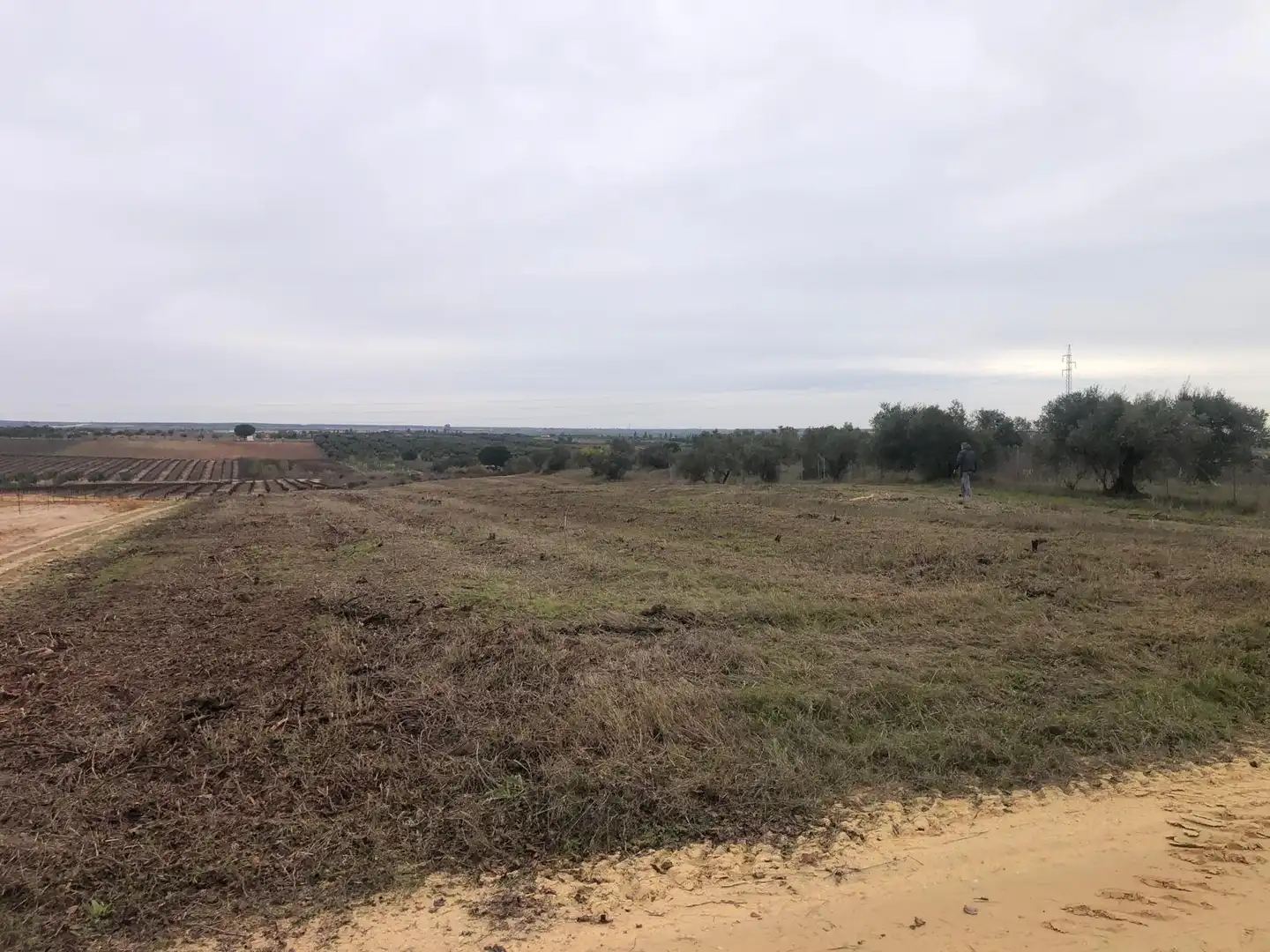 Terreny rústic en venda a CAMINO REMUÑINA, imagen 3