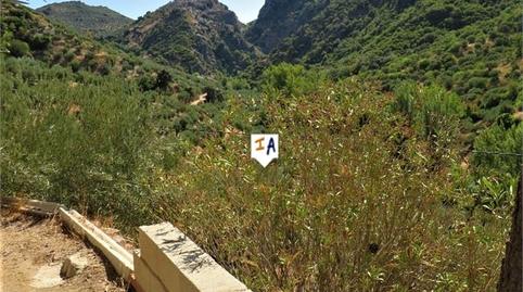 Foto 5 de Finca rústica en venda a Fuensanta de Martos, Jaén