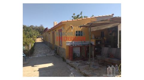 Finca de 1000 m2 cerrada con pozo de sondeo y casa de 2 dormitorios con garaje y piscina