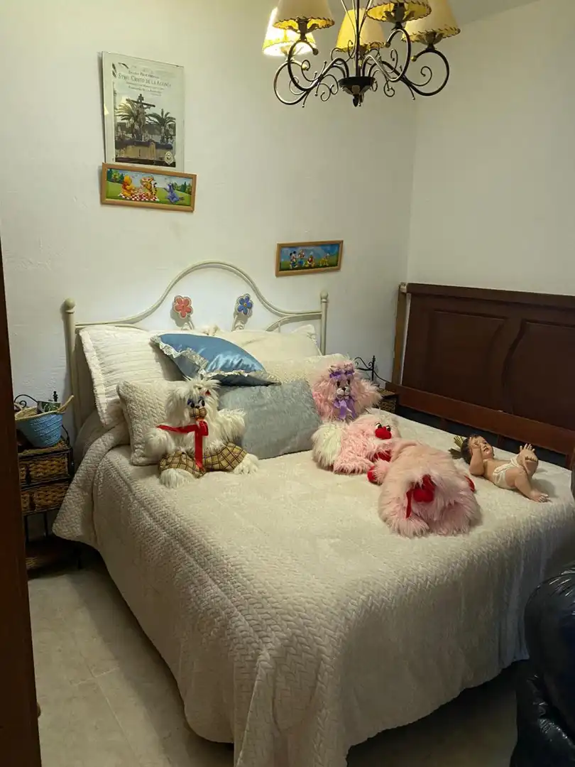 Casa amb terrassa en venda a SAN PEDRO 15, imagen 16