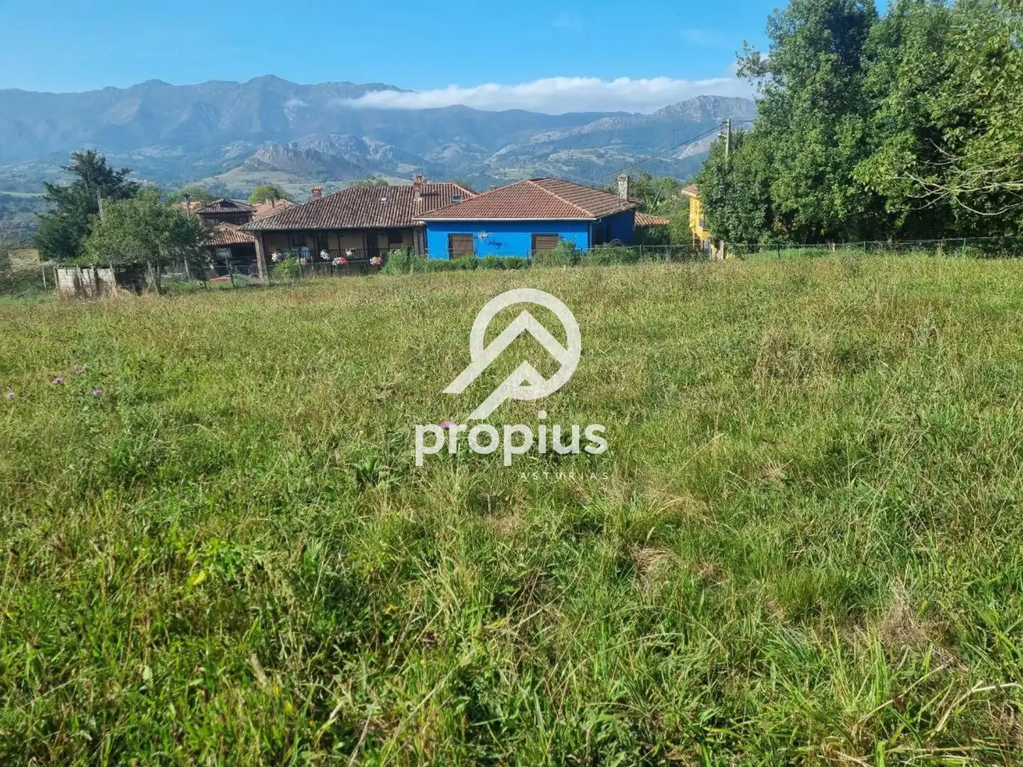 Rural land for sale in Arenas, imagen 15