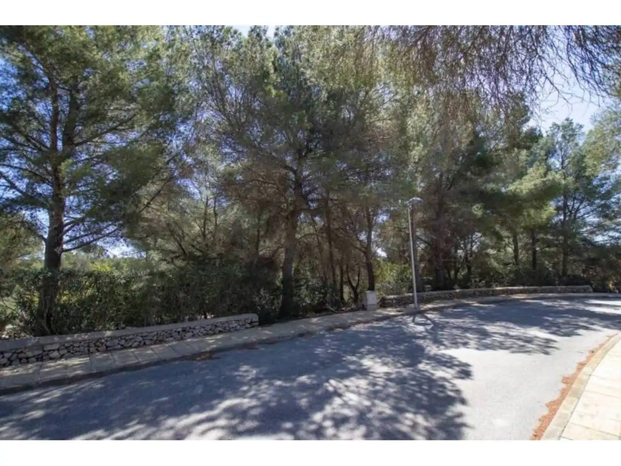 Grundstücke zum Verkauf in Calle Cap de Favoritx, Son Parc
