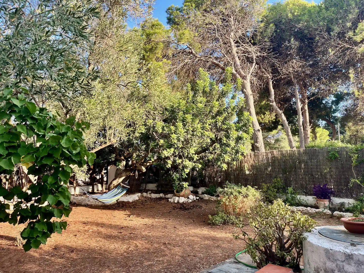 Casa en venda a Alcossebre, imagen 40