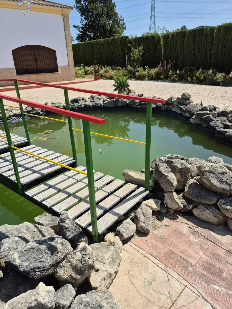 Casa rústica amb jardí en venda a Arcos de la Frontera, imagen 63