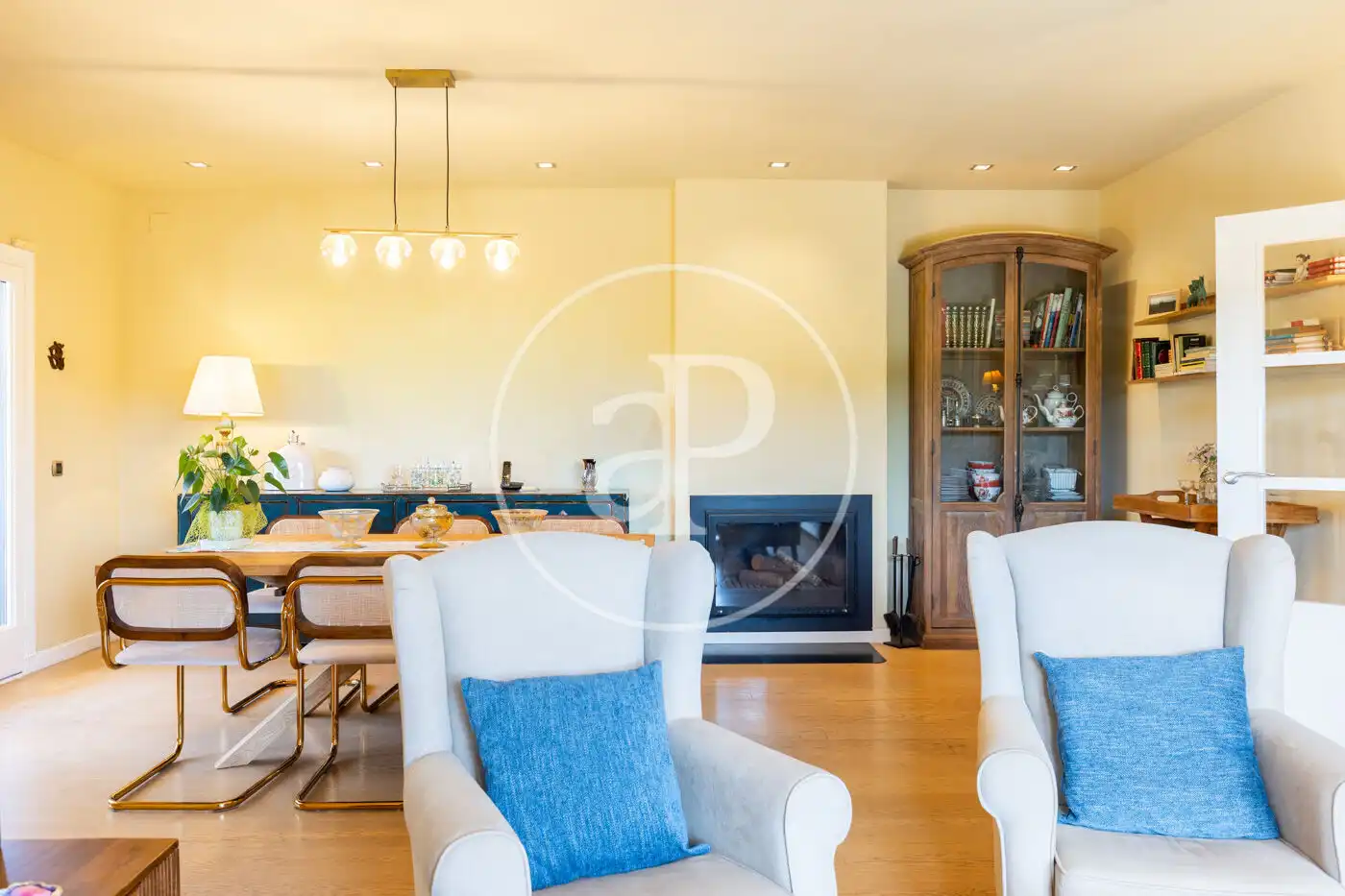 Sala d'estar de Casa o xalet en venda en Valldoreix