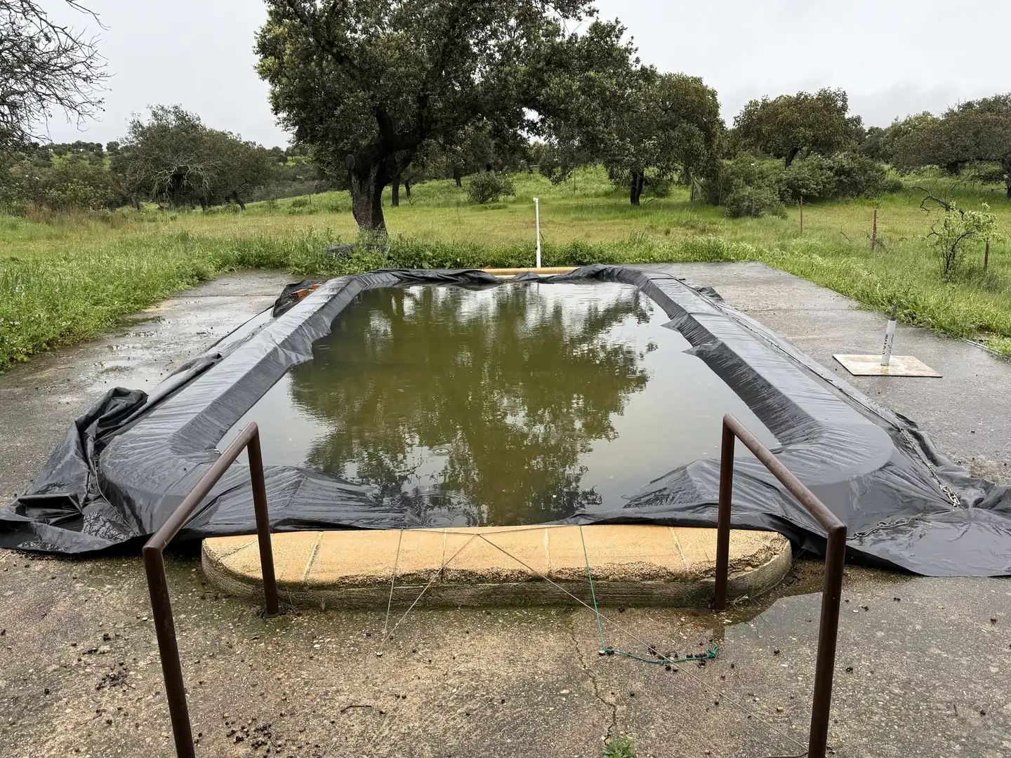 Terreny rústic en venda a Polígono POLíGONO 20 PARAJE 160 DEHESA DE ALFILEJO 25, imagen 17