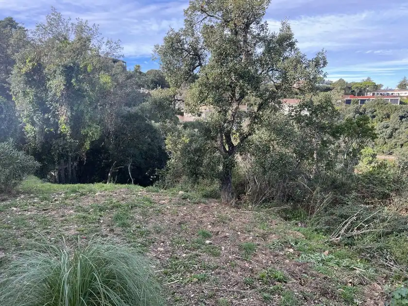 Wohnbaugrundstück zum Verkauf in Carrer Gavarres 1, imagen 5