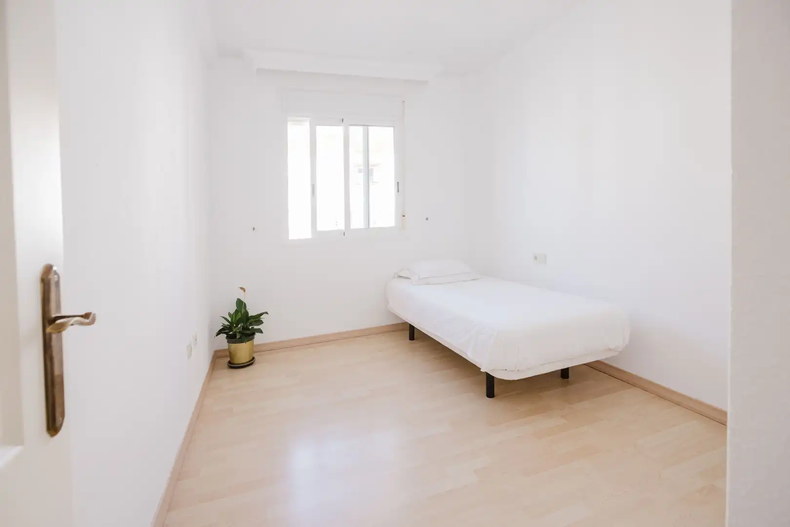 Apartamento con piscina en venta en Milla de Oro, imagen 22