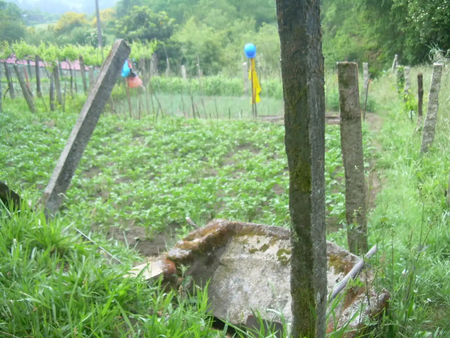 Terreny rústic en venda a A Cañiza, imagen 2
