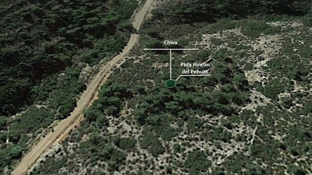 Terrain rustique à vendre à Pt Rincón del Pehuet, imagen 4