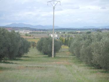 Finca rústica en Venta en Miguelturra