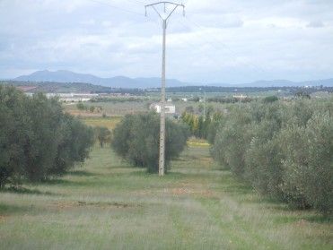 Country house zum verkauf in Miguelturra