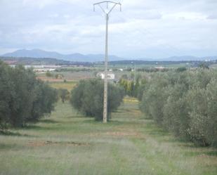 Finca rústica en venda en Miguelturra