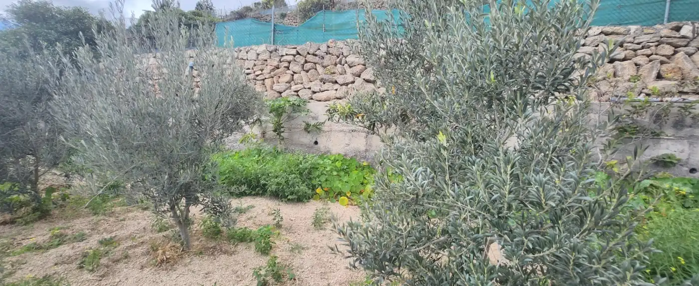 Terreno rustico in vendita a Vial Camino, imagen 15
