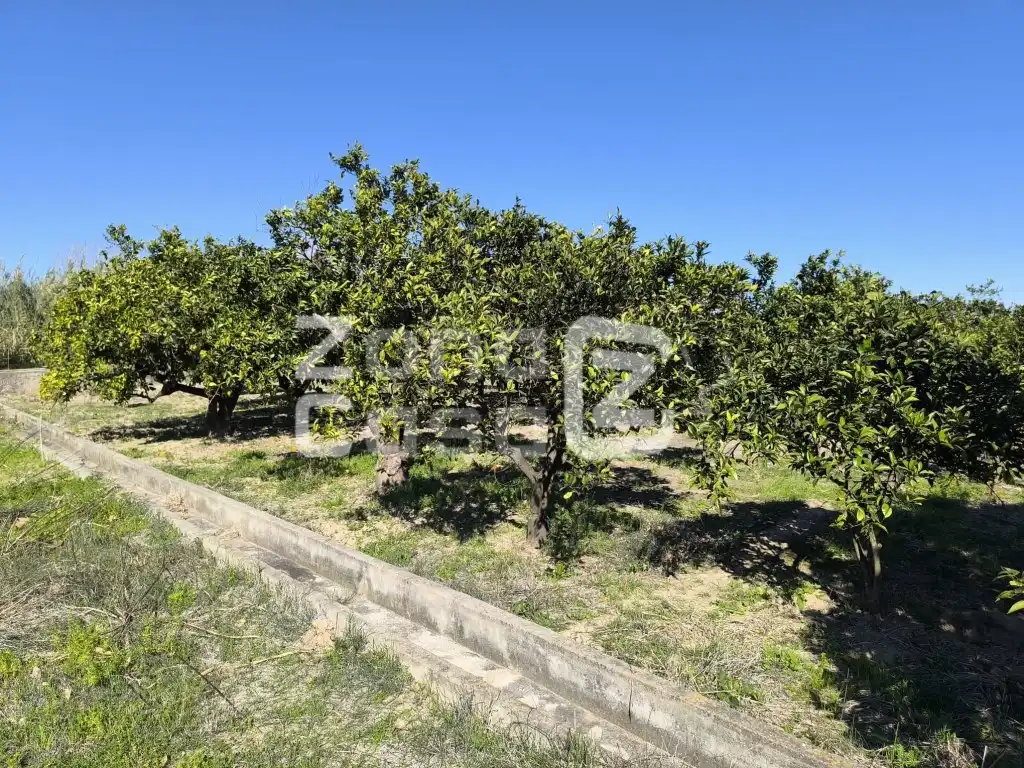 Country house for sale in Partida Barqueta La, imagen 2