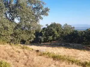 Terreni e lotti in vendita a Losar de la Vera, imagen 13