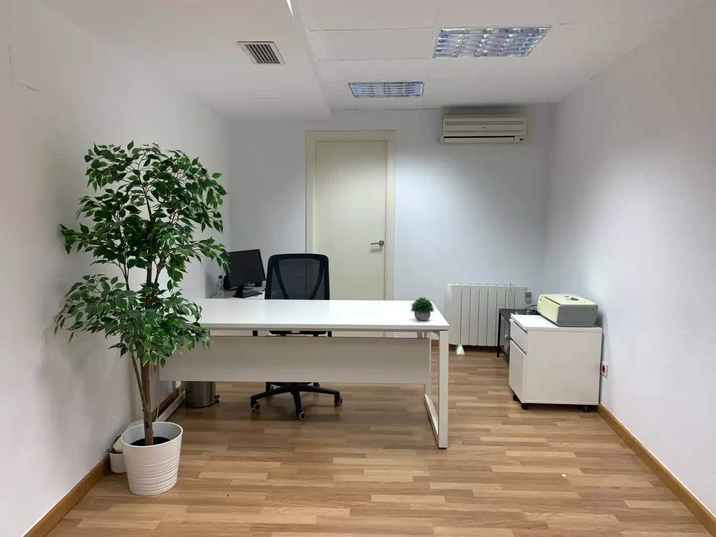 Büro zur Miete in Elche / Elx mit Möbliert
