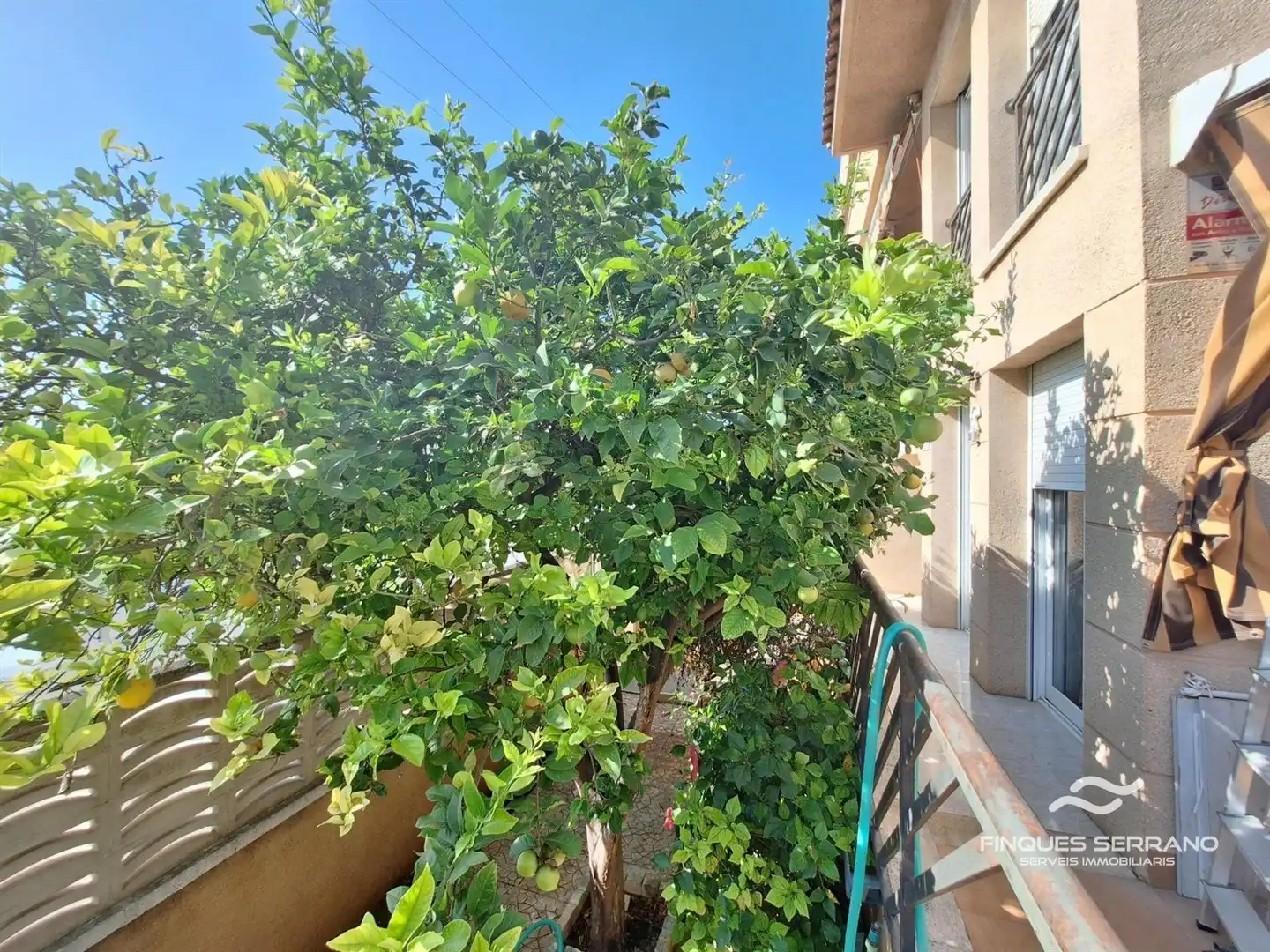 Piso en venta en RAVAL DEL TORRENT, imagen 44