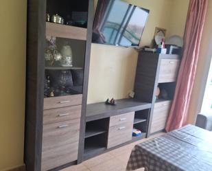 Sala d'estar de Pis en venda en El Ejido amb Moblat, Rentadora i Microones