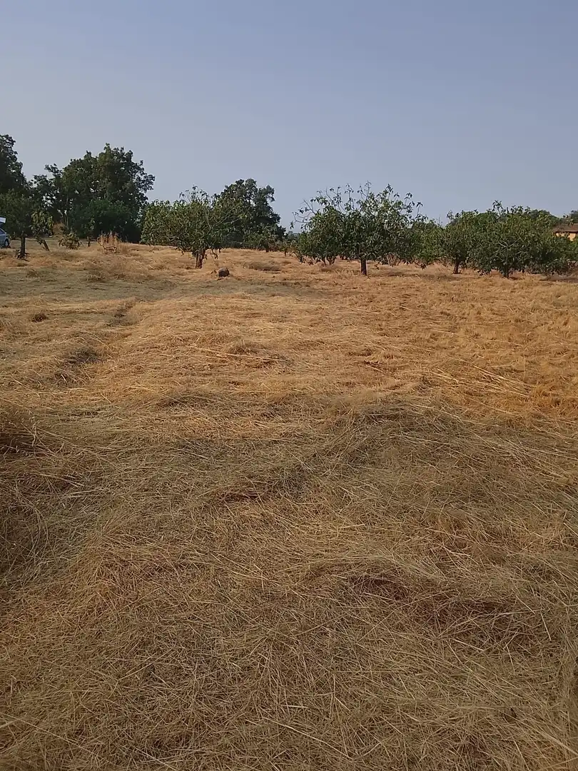 Terreni e lotti in vendita a Villanueva de la Vera, imagen 11