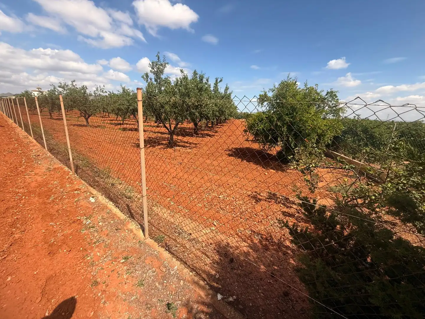 Finca rústica en venda en Cartagena amb Aire condicionat, Terrassa i Traster