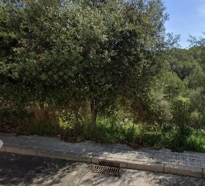 Lands and plots for sale in Castellnou - Can Mir - Can Solà, imagen 6