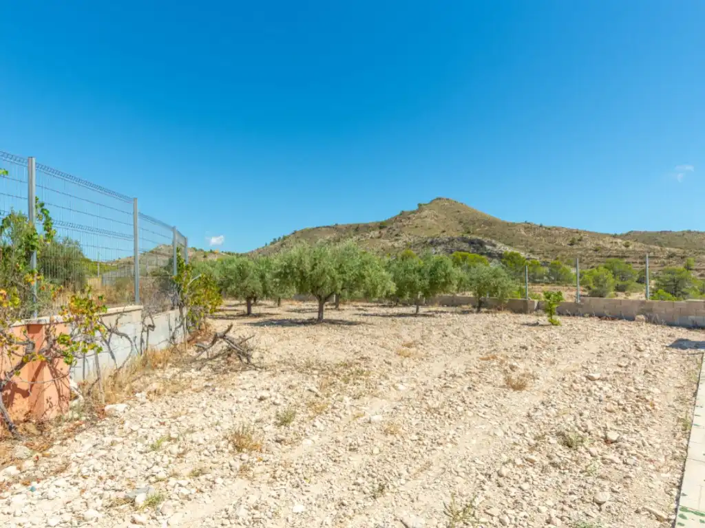 Casa amb jardí en venda a Partida Pino El, imagen 32