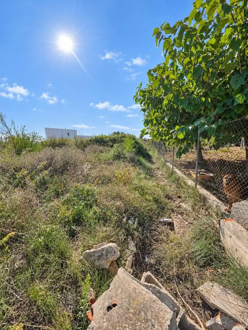Rural land for sale in Polígono Sèquia de la Figuerola Dreta, imagen 8