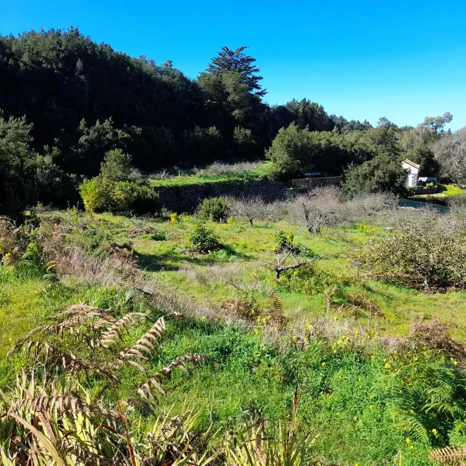 Rural land for sale in Hoya De Manzaneros