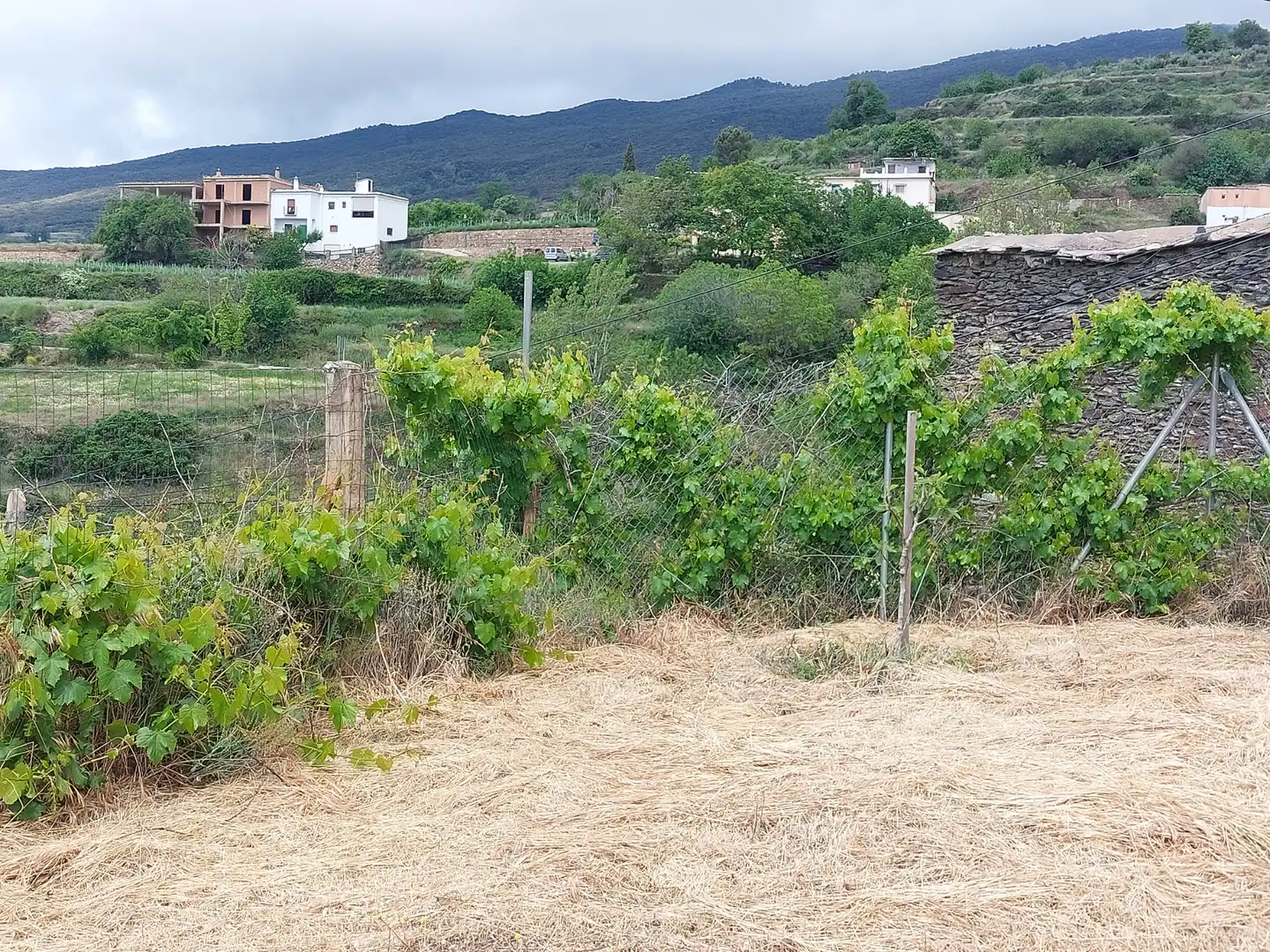 Land for sale in Pórtugos