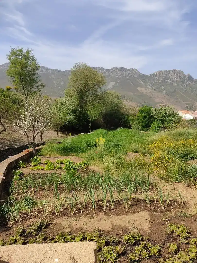 Piso en venta en Navalvillar de Ibor con Jardín privado