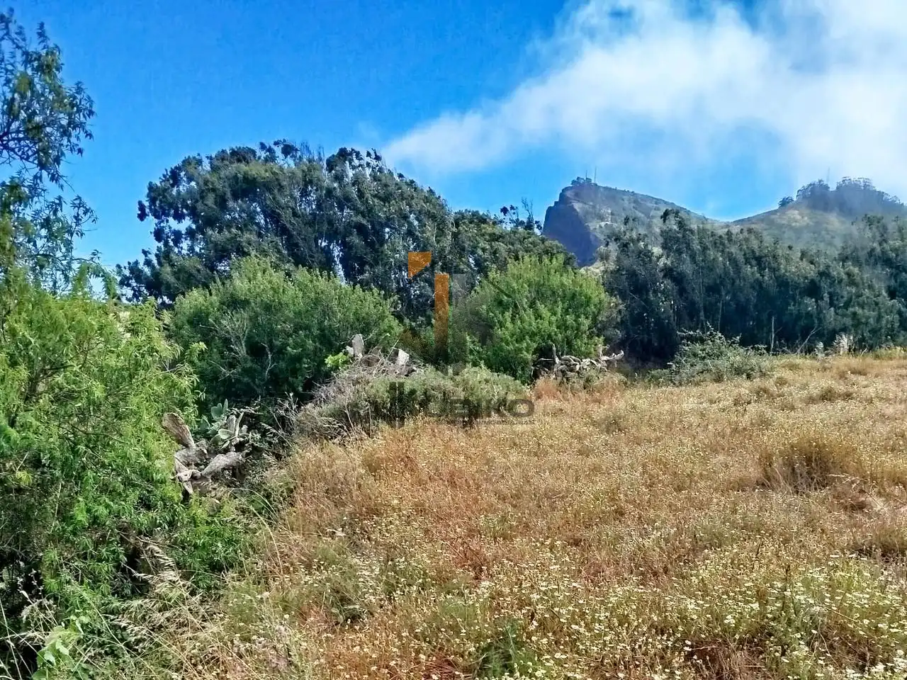 Land for sale in El Rosario
