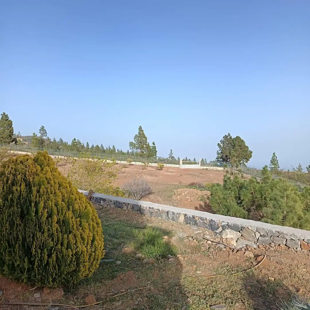 Finca rústica en venda en Granadilla de Abona
