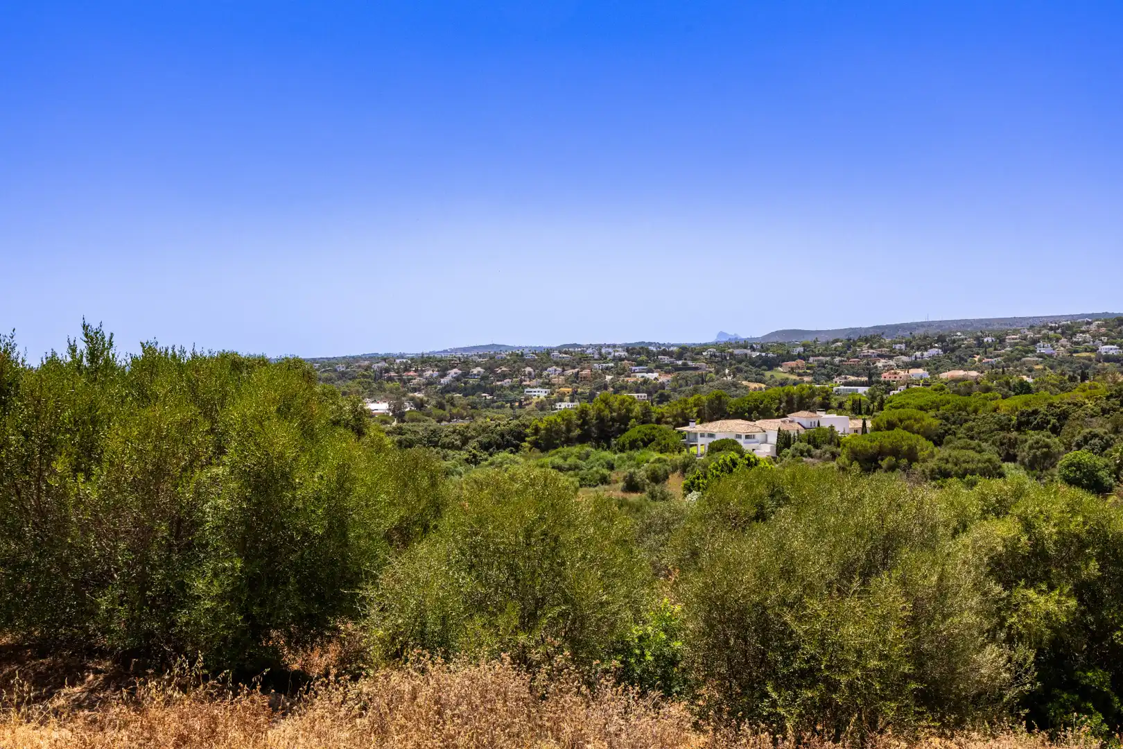 Terreni e lotti in vendita a Sotogrande Alto, imagen 14