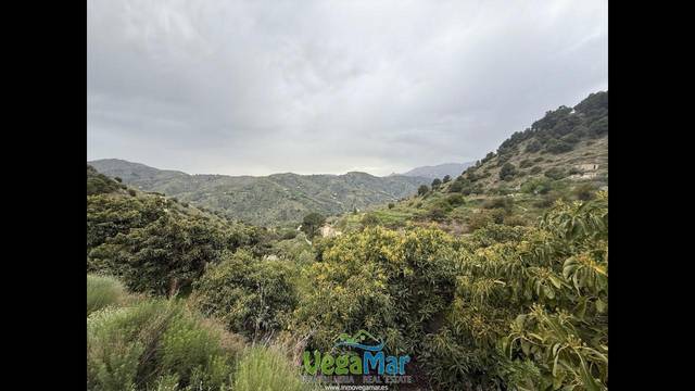 Terreno en Venta en Los Bañuelos en Torrecuevas - Lomas del Gato